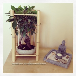 My Zen Spot. I got the bonsai tree for my birthday. :)